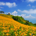 Popotniška spletna stran Globe Spots je Tajvan že drugič uvrstila med 10 najboljših svetovnih destinacij