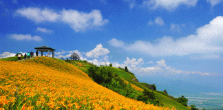 Popotniška spletna stran Globe Spots je Tajvan že drugič uvrstila med 10 najboljših svetovnih destinacij