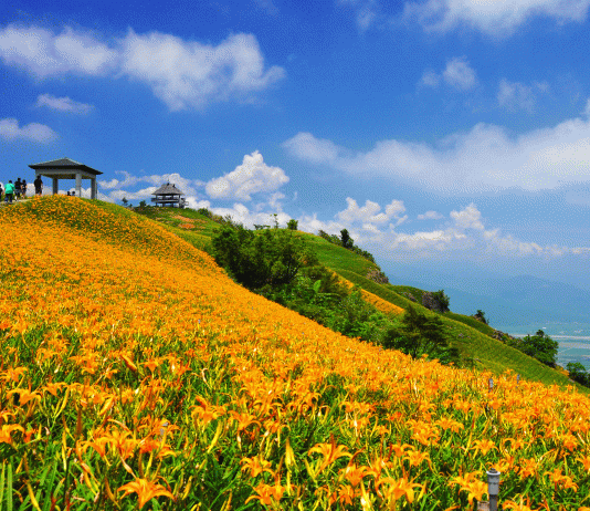 Popotniška spletna stran Globe Spots je Tajvan že drugič uvrstila med 10 najboljših svetovnih destinacij