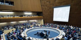 MOFA se zahvaljuje diplomatskim zaveznicam in ostalim sorodno mislečim državam za močno podporo Tajvanu pri sodelovanju v Svetovni zdravstveni organizaciji (WHO) Foto: WHO Twitter