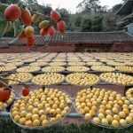 Popolne linije Foto: Taiwan Today, Urad predsednika