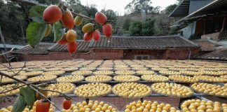 Popolne linije Foto: Taiwan Today, Urad predsednika