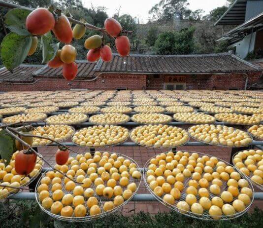 Popolne linije Foto: Taiwan Today, Urad predsednika