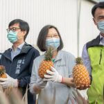 Predsednica Tsai zagotavlja podporo lokalnim gojiteljem ananasa Foto: Urad predsednika RK (Tajvan)