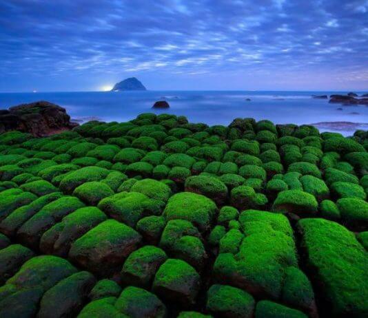 Nadrealistični razgled Foto: Taiwan Today, @klcgfans Facebook