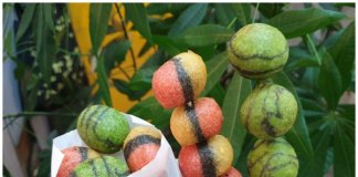 Sladki fotogenični prigrizki Foto: @elvagwan3 Facebook