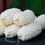 Dragocene grenke buče Foto: Taiwan Today.