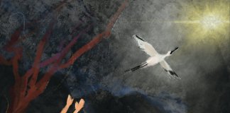 Svetovni molitveni dan 2023 posvečen Tajvanu Foto: Hui-Wen HSAIO, Worlddayofprayer.net