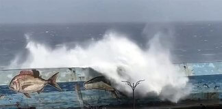 Tajvan izdal prvo letošnje opozorilo pred tajfunom Mawar Foto: CNA