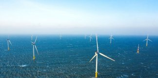 Tajvan najzmogljivejši med azijsko-pacifiškimi državami v vetrni energiji na morju Foto: Taiwan Today, MOFA.