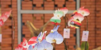 Svetovna razstava in konferenca o orhidejah