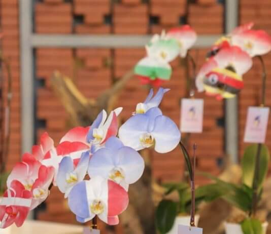 Svetovna razstava in konferenca o orhidejah