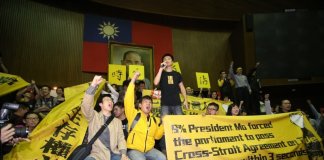 10. obletnica Gibanja sončnic