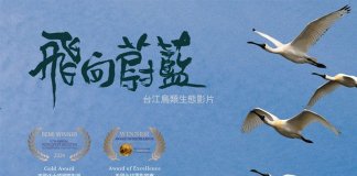 Tajvanski dokumentarni film o pticah prejel nagrade na filmskih festivalih Foto: CNA, z dovoljenjem nacionalnega parka Taijiang.