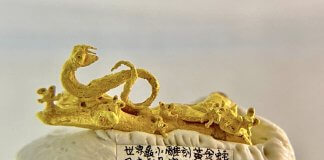 Leto kače Foto: Chen Forng-shean, 24. januar 2025.