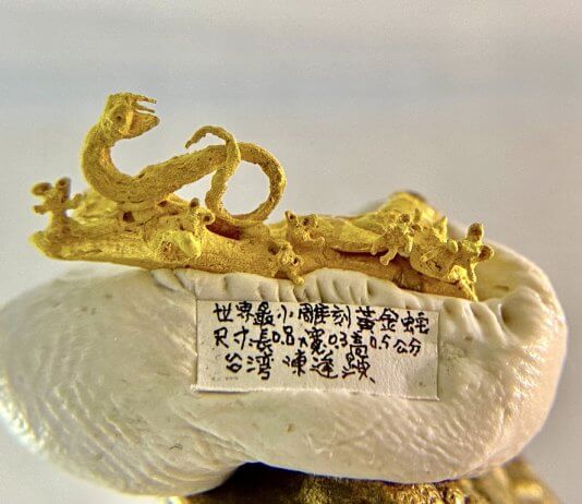 Leto kače Foto: Chen Forng-shean, 24. januar 2025.