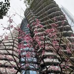 Stanovanja v tajpejski stolpnici v obliki DNK naprodaj Foto: CNA.