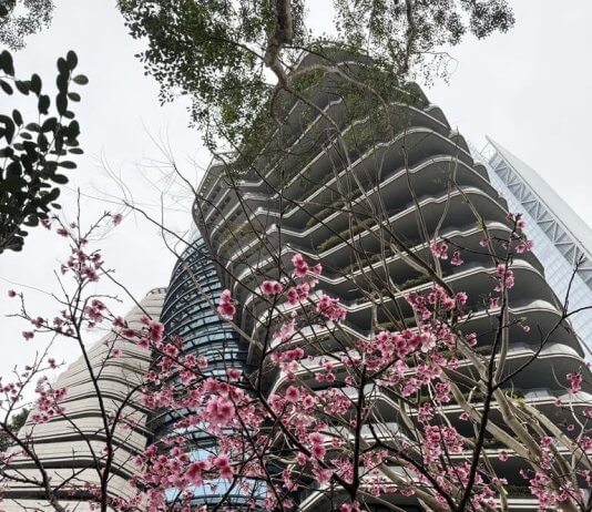 Stanovanja v tajpejski stolpnici v obliki DNK naprodaj Foto: CNA.