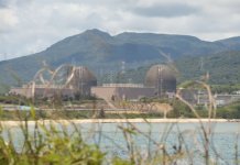 Tajvanski referendum o jedrski energiji Foto: Jedrska elektrarna Maanshan.