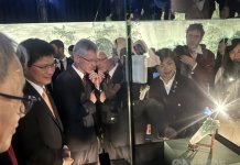 Visoki predstavniki Tajvana in Češke na razstavi v Pragi Foto: Visoki predstavniki občudujejo iz žada izrezljano zelje z žuželko, CNA.