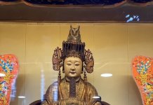 Sova si je izbrala boginjo Mazu v templju Miaolija Foto: Gorska sova sedi na glavi kipa Mazu v templju Quan Hua v okrožju Miaolija, kjer je domovala dve noči in tri dni, preden je odletela (CNA).