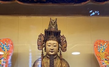 Sova si je izbrala boginjo Mazu v templju Miaolija Foto: Gorska sova sedi na glavi kipa Mazu v templju Quan Hua v okrožju Miaolija, kjer je domovala dve noči in tri dni, preden je odletela (CNA).