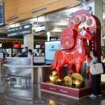 Vstop v ognjenega konja