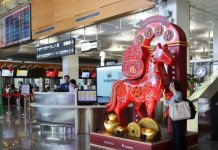 Vstop v ognjenega konja